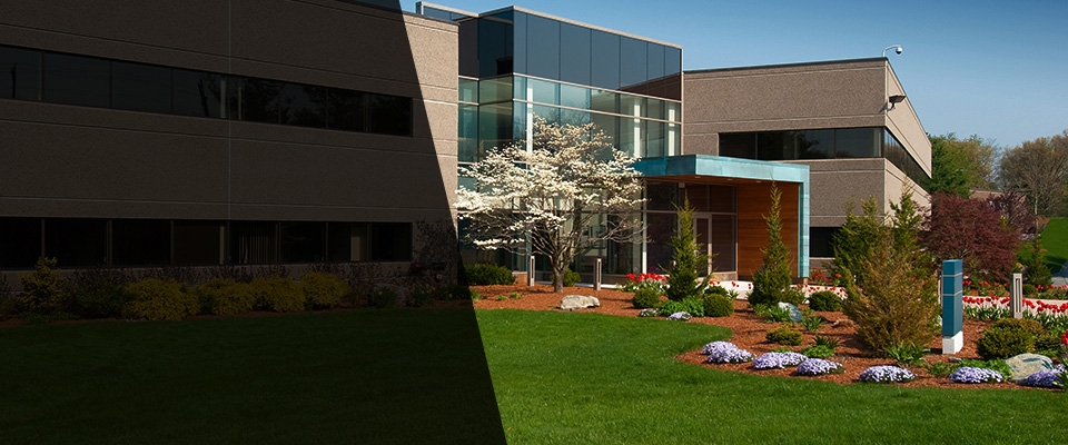 Chesapeake Beach Landscapers