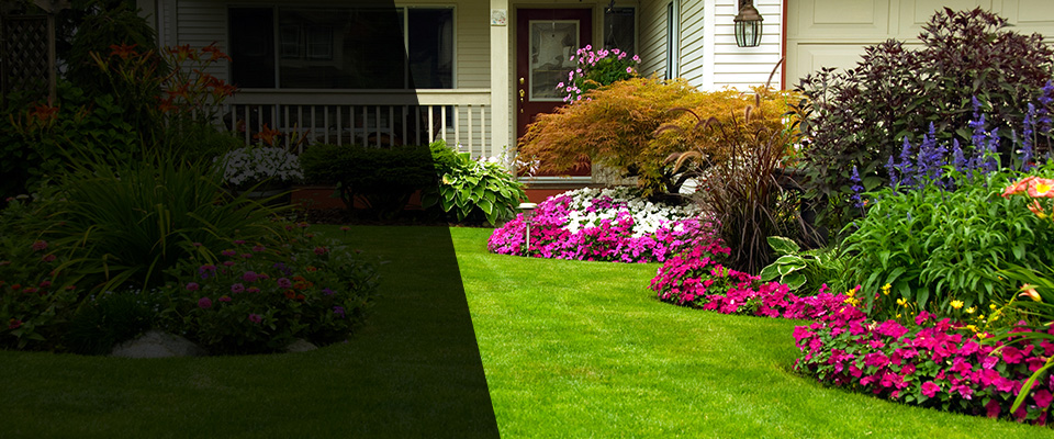Chesapeake Beach Landscapers