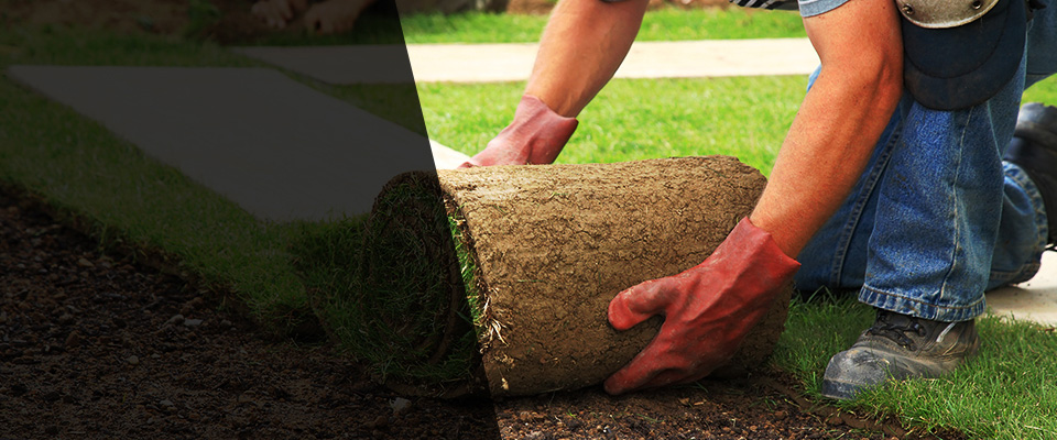 Chesapeake Beach Landscapers